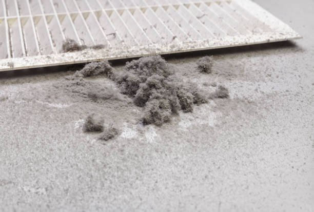 Best HVAC System Cleaning  in Ellisburg, NJ